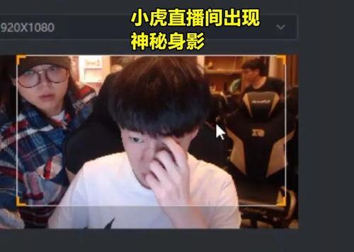 小虎淘气爆料视频播放全集,全集揭秘淘气背后的故事 第1张 小虎淘气爆料视频播放全集,全集揭秘淘气背后的故事 第1张